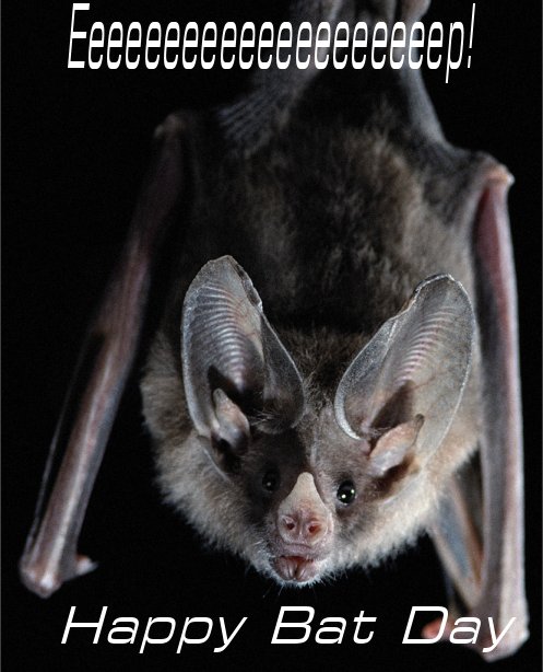 bat-birthday.jpg
