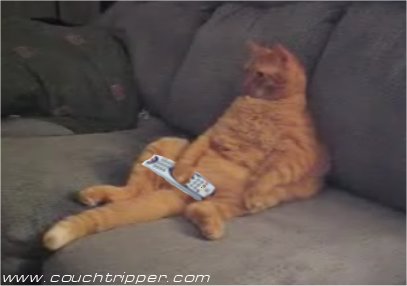 faceless-cat-remote.jpg