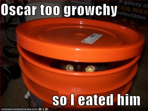 funny-pictures-cat-bucket-oscar-grouch.jpg