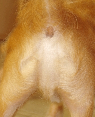 jesus.jpg