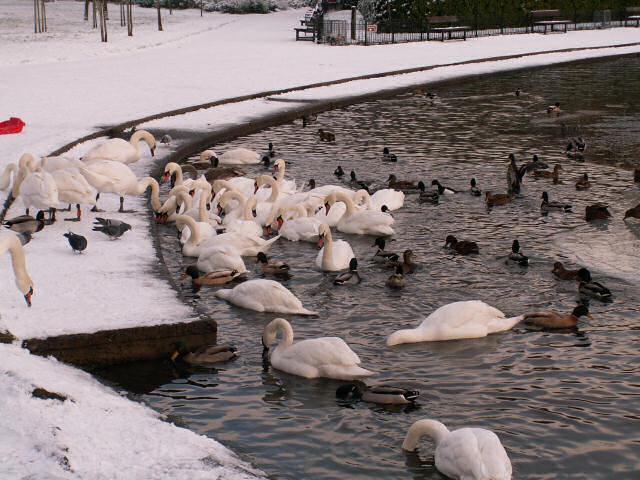 2009-11-23 - 01.jpg