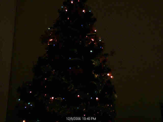 My Tree!!!