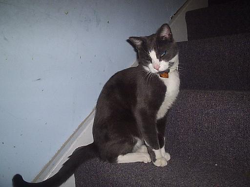Picture 036a.JPG