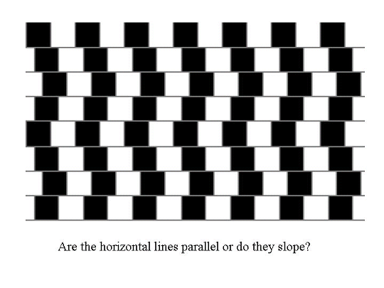 optical illusion 7.png