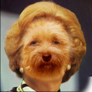 chop-magge-dog.jpg