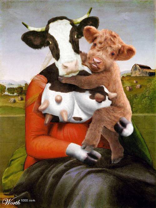cows.jpg
