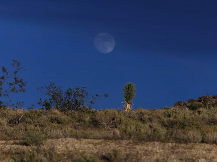 view east from my home.jpg